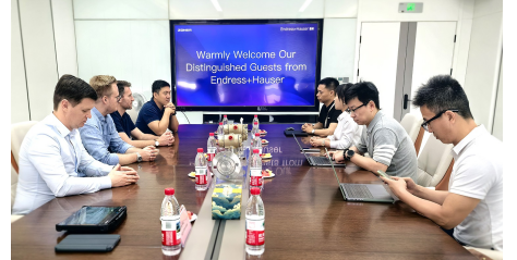 <b>热烈欢迎Endress+Hauser（恩德斯豪斯）自动化有限公司高管团队一行莅临指导</b>